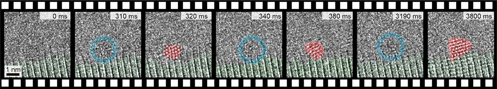 금 나노결정의 탄생 순간을 촬영한 고해상도 투과전자현미경(TEM) 영상. 세 번째 이미지 빨간색 영역 안에 규칙적으로 배열된 작은 알갱이가 금 원자다. 금 원자의 규칙적인 배열이 보였다 사라졌다하는 현상을 관찰할 수 있다.