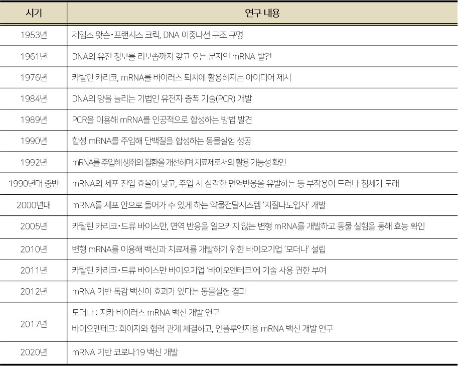 1953년부터 2020년까지 DNA의 구조가 규명되고 mRNA 백신 개발되기까지의 과정을 나타내는 표이미지.

                시기 연구 내용 1953년 제임스 왓슨·프랜시스 크릭, DNA 이중나선 구조 규명 1961년 DNA의 유전 정보를 리보솜까지 갖고 오는 분자인 mRNA 발견 1976년 카탈린 카리코, mRNA를 바이러스 퇴치에 활용하자는 아이디어 제시 1984년 DNA의 양을 늘리는 기법인 유전자 증폭 기술(PCR) 개발 1989년 PCR을 이용해 Mrna를 인공적으로 합성하는 방법 발견 1990년 합성 mRNA를 주입해 단백질을 합성하는 동물실험 성공 1992년 mRNA를 주입해 생쥐의 질환을 개선하며 치료제로서의 활용 가능성 확인 1990년대 중반 mRNA의 세포 진입 효율이 낮고, 주입 시 심각한 면역반응을 유발하는 등 부작용이 드러나 침체기 도래 2000년대 mRNA를 세포 안으로 들어가 수 있게 하는 약물전달시스템 '지질나노입자' 개발 2005년 카탈린 카리코·드류 바이스만, 면역 반응을 일으키지 않는 변형 mRNA를 개발하고 동물 실험을 통해 효능 확인 2010년 변형 mRNA를 이용해 백신과 치료제를 개발하기 위한 바이오기업 '모더나' 설립 2011년 카탈린 카리코·드류 바이스만 바이오기업 '바이오엔테크'에 기술 사용 권한 부여 2012년 mRNA 기반 독감 백신이 효과가 있다는 동물실험 결과 2017년 모더나 : 지카 바이러스 mRNA 백신 개발 연구 바이오엔테크 : 화이자와 협력 관계 체결하고, 인플루엔자용 mRNA 백신 개발 연구 2020년 mRNA 기반 코로나19 백신 개발