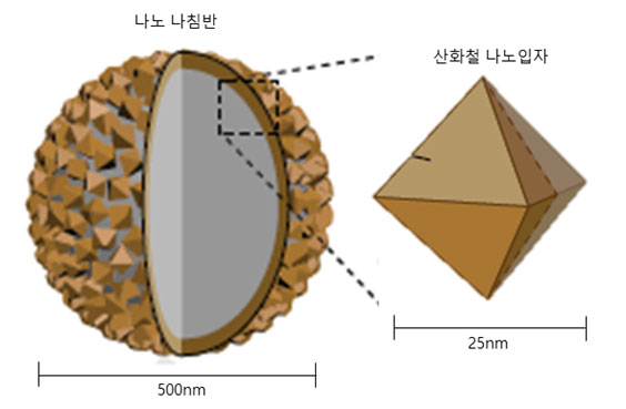 연구진이 개발한 ‘나노나침반’은 바삭한 공 모양 과자 위에 달콤한 초코땅콩들이 덮인 초콜렛‘페레로로X’처럼, 500nm(나노미터)크기의 구조체 위에 25nm크기의 산화철 나노입자가 씐 형태다. 자기장을 걸어주면 나침반이 회전하는 원리와 마찬가지로 나노나침반이 회전한다. 이 때 회전력이 너무 크면 세포가 손상되고, 회전력이 너무 작으면 피에조-1이온 채널을 열 수 없다. 정확히 ‘5pN’의 힘을 내도록 정교하게 설계해야 한다. 그 어려운 것, IBS가 해냈다.