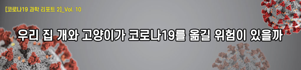 [코로나19 과학 리포트 2]_Vol.10 우리 집 개와 고양이가 코로나19를 옮길 위험이 있을까