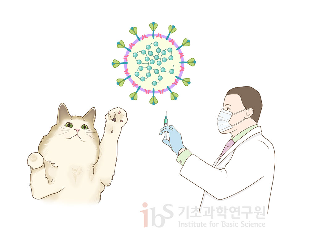 바이러스를 나타내는 이미지를 향해 의사가 주사를 들고 있고, 고양이가 손을 뻗고 있다.