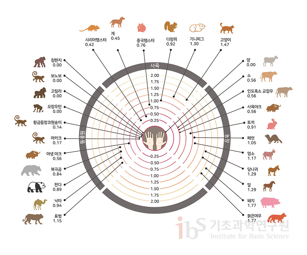 사스코로나바이러스-2 감염 위험이 높은 것으로 분석된 동물들 이미지.


                동물원 침팬지 0.00 보노보 0.00 고릴라 0.00 오랑우탄 0.00 황금들창코원숭이 0.14 마카크 0.17 야생 아크 0.56 북극곰 0.84 판다 0.89 낙타 0.94 표범 1.15 사육 시리아햄스터 0.42 개 0.45 중국햄스터 0.76 다람쥐 0.92 기니피그 1.30 고양이 1.47 농장 양 0.00 소 0.56 인도혹소 교잡우 0.56 사육야크 0.56 토끼 0.91 페럿 1.05 염소 1.17 당나귀 1.29 말 1.29 돼지 1.77 붉은여우 1.77