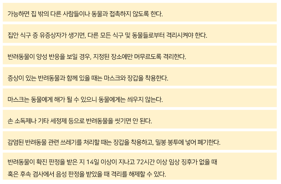 코로나19 팬데믹 상황에서 반려인들을 위한 CDC의 권고사항 7가지를 나타내는 이미지.

                가능하면 집 밖의 다른 사람들이나 동물과 접촉하지 않도록 한다.
                집안 식구 증 유증상자가 생기면, 다른 모든 식구 및 동물들로부터 격리시켜야 한다.
                반려동물이 양성 반응을 보일 경우, 지정된 장소에만 머무르도록 격리한다.
                증상이 있는 반려동물과 함께 있을 때는 마스크와 장갑을 착용한다.
                마스크는 동물에게 해가 될 수 있으니 동물에게는 씌우지 않는다.
                손 소독제나 기타 세정제 등으로 반려동물을 씻기면 안 된다.
                감염된 반려동물 관련 쓰레기를 처리할 때는 장갑을 착용하고, 밀봉 봉투에 넣어 폐기한다.
                반려동물이 확진 판정을 받은 지 14일 이상이 지나고 72 시간 이상 임상 징후가 없을 때 혹은 후속 검사에서 음성 판정을 받았을 때 격리를 해제할 수 있다.