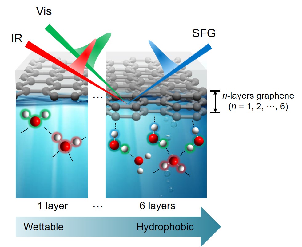 [그림 1] 합-주파수 생성 분광법을 이용하여 얻은 그래핀-물 계면에서 물 분자의 수소결합 구조