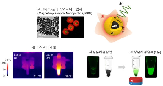 BS 나노의학 연구단이 개발한 나노PCR 기술을 나타내는 이미지.

                마그네토-플라스코닉 나노입자
                플라스모닉가열
                자성분리검출전
                자성분리검출후(3분)