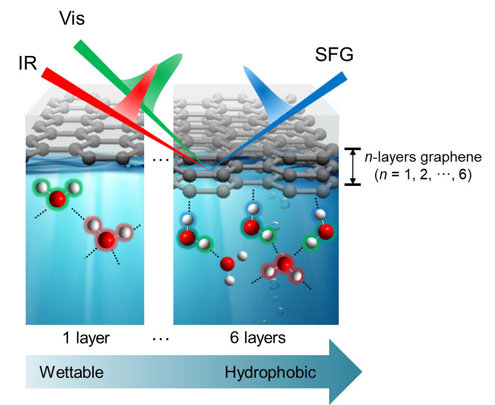 Figure 3. Hydrogen bond structure of water molecules at the graphene-water interface observed by VSFG