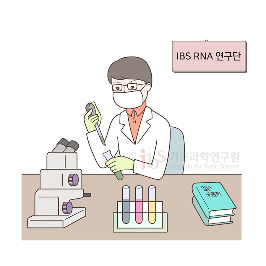 IBS RNA 연구단을 나타내는 이미지