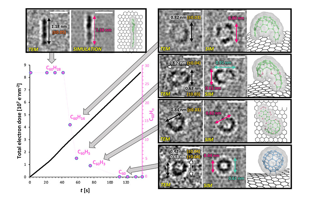 Figure 2. TEM, simulation, and model images of intermediates that were identified during the course of the reaction.