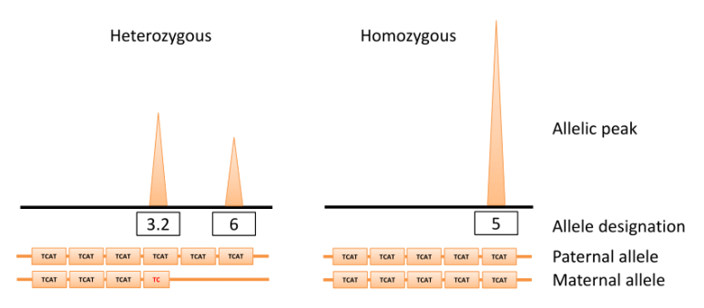 사진3 / 출처 : DOI:10.13140/RG.2.2.19317.22245