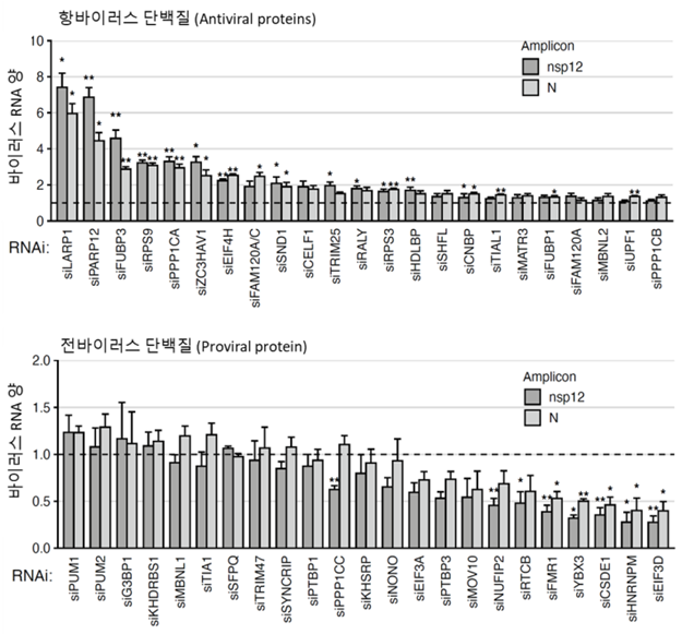 사스코로나바이러스-2에 직접 결합하는 각각의 단백질들이 바이러스 증식에 미치는 영향을 평가한 실험적 결과