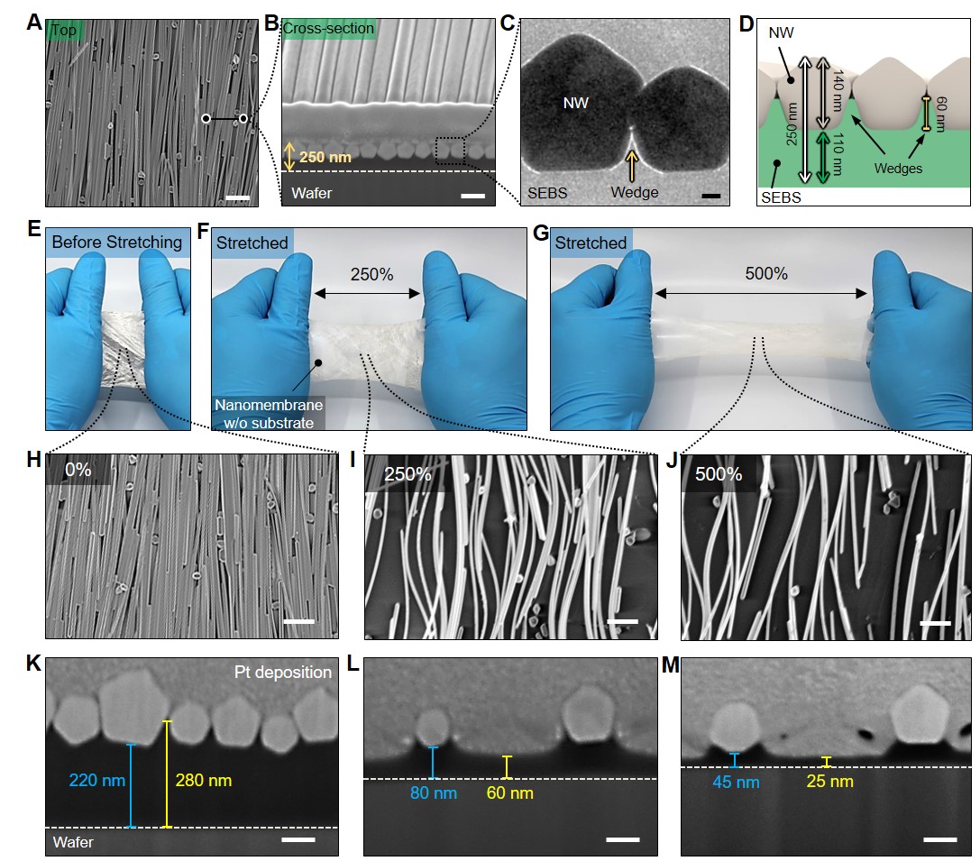 Figure 2. Structural and mechanical characterization of the nanomembrane.