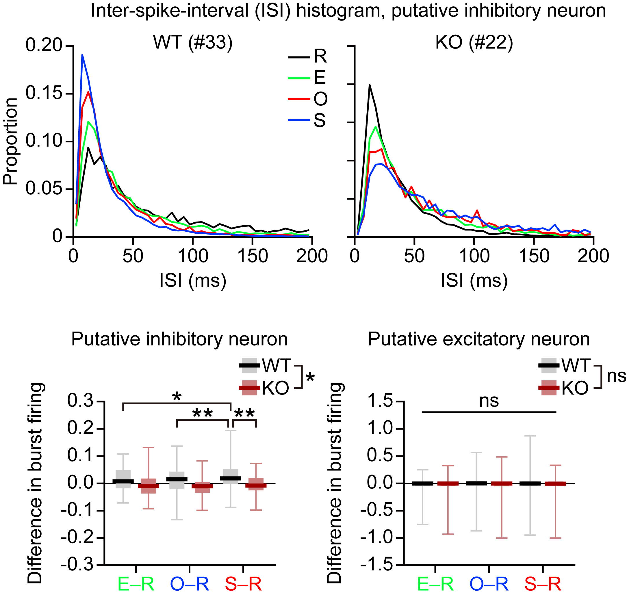 그림 3. Shank2 결손 생쥐 뇌에서 억제성 뉴런의 다발성 발화가 감소되어 있음 관련 이미지로서 자세한 내용은 하단에 위치해 있습니다.