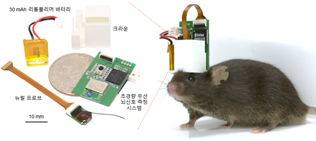 개발한 초경량 무선 뇌 신호 측정 시스템 및 시스템이 장착된 생쥐 사진이미지로서 자세한 내용은 하단에 위치해 있습니다.
