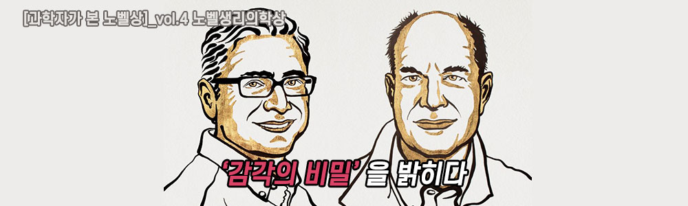 [과학자가 본 노벨상]_vol.4 2021 노벨 생리의학상 : ‘감각의 비밀’을 밝히다