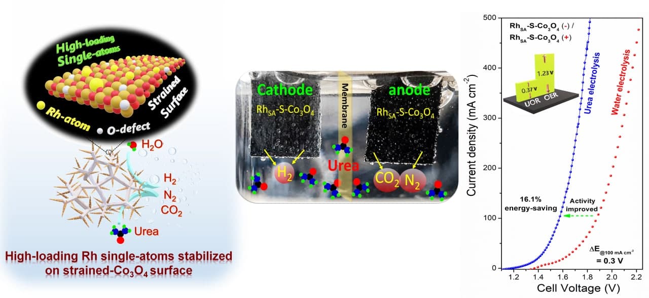 The schematic diagram for the UOR process using high-loading Rh<sub>SA</sub> stabilized on strained oxide surface (left). Full urea electrolysis system for green hydrogen evolution (middle). Energy-saving urea electrolysis compared to water electrolysis (right).