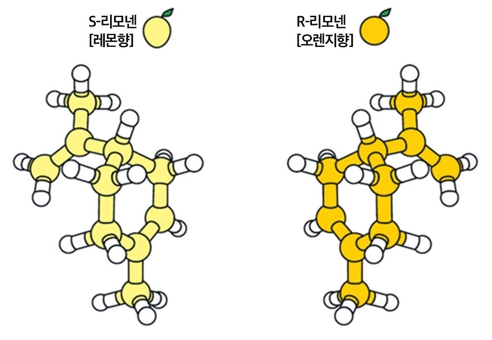 ▲ 분자식은 서로 같지만 서로 다른 물리‧화학‧광학적 성질을 갖는 분자를 이성질체라고 한다. 카이랄성 이성질체(거울상 이성질체)는 두 이성질체가 서로를 거울에 비친 모습과 같은 형상을 띈 경우다. 위 그림은 대표적인 카이랄성 이성질체인 리모넨 분자. 리모넨은 아로마의 일종으로 S형과 L형에 따라 레몬향과 오렌지향을 낸다. 두 유형의 거울상 이성질체들은 각각 다른 성질을 보이는 경우가 많은데, 이로 인해 원하는 성질을 지니고 있는 하나의 특정 이성질체를 선택적으로 만들 수 있는 비대칭 반응은 가장 중요하게 여겨지는 유기반응 중 하나이다. [출처: 노벨상 위원회]