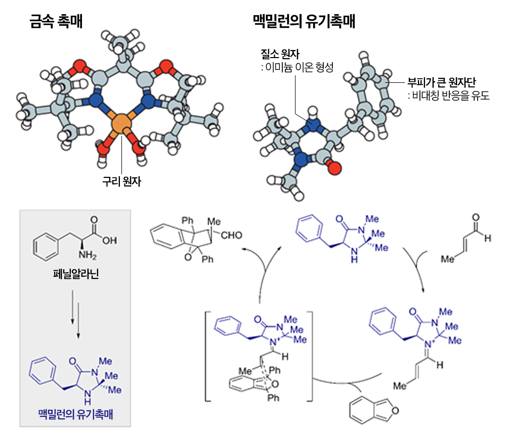 ▲ 특정금속 촉매는 매우 민감하여 산소와 물기가 있는 환경에서 사용이 어렵다는 한계가 있었다. 맥밀런 교수는 더 안정적으로 사용할 수 있는 촉매를 만들기 위한 연구를 시작했다. 그 결과, 이미늄 이온을 형성할 수 있는 단순한 분자를 설계하고 이를 ‘유기촉매’라 명명했다. 개발된 촉매는 딜스-알더 반응(아래 그림)에서 뛰어난 촉매 작용을 했으며, 일부 유기촉매는 비대칭 촉매 작용에도 탁월했다. [출처: 노벨상위원회