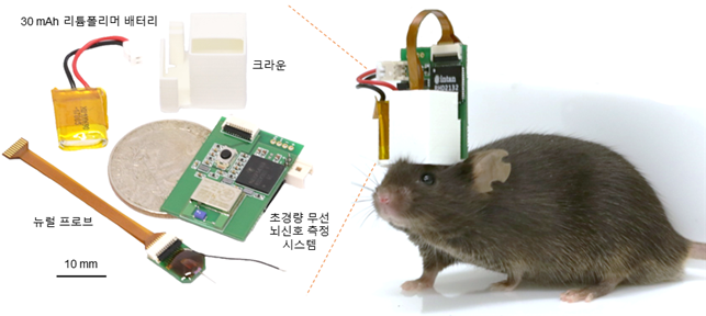 [개발한 초경량 무선 뇌 신호 측정 시스템 및 시스템이 장착된 생쥐 사진]