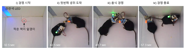 [개발한 시스템을 이용한 음식 경쟁 테스트]