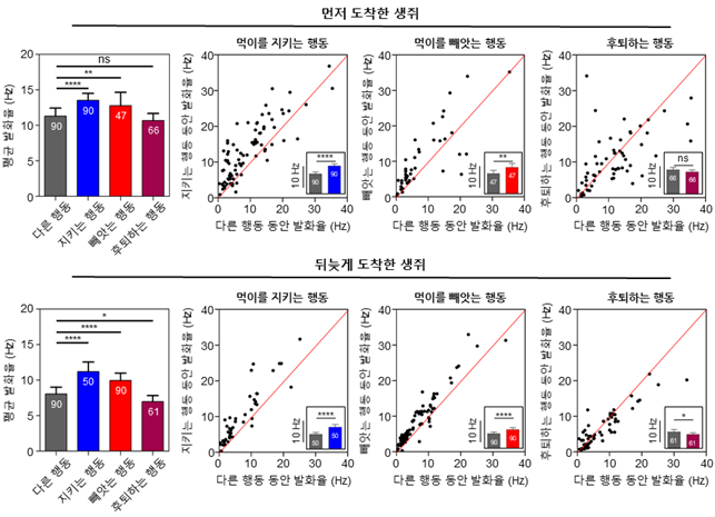 [먹이를 지키는 행동과 빼앗는 행동에서 내측 전전두엽의 뇌신호 변화]