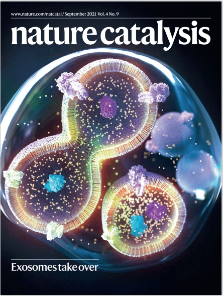 IBS 첨단연성물질 연구단의 연구가 게재된 국제학술지 'Nature Catalysis' 표지의 모습