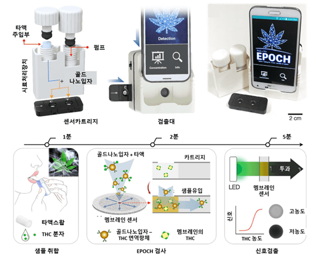 EPOCH 기술을 이용한 마리화나 검출 과정 이미지로 자세한 내용은 하단에 위치해 있습니다.