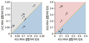 그림 2. 교차결합 방식 및 염기 종류에 따른 RNA 결합자리의 아미노산 빈도 비교.