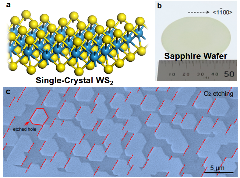 Figure 1. a, Single-crystal WS2; b, Sapphire wafer used in industry is a single-crystal; c, Experimental images about the WS2 films on sapphire wafer after O2 etching.
