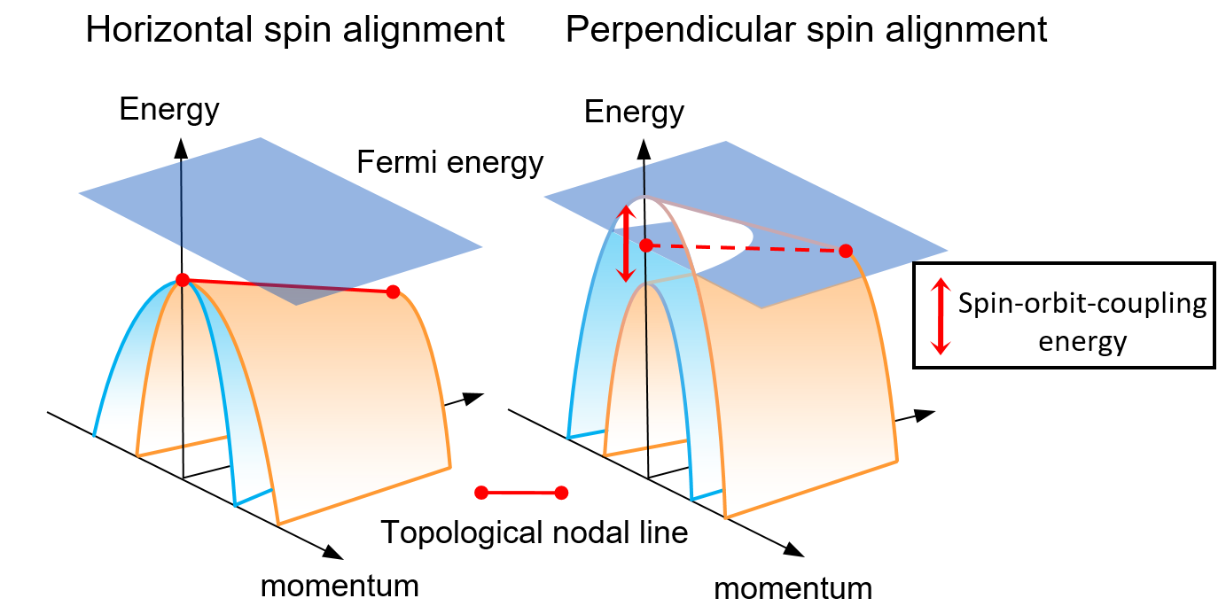 Figure 1. Schematic illustration of the metal-insulator transition in magnetic topological semiconductors. The topological nodal line is where electronic bands cross and form a line in energy-momentum space. With magnetic ordering, spin-orbit energy depending on the spin direction decides whether the system is a semiconductor (left) or metal (right).