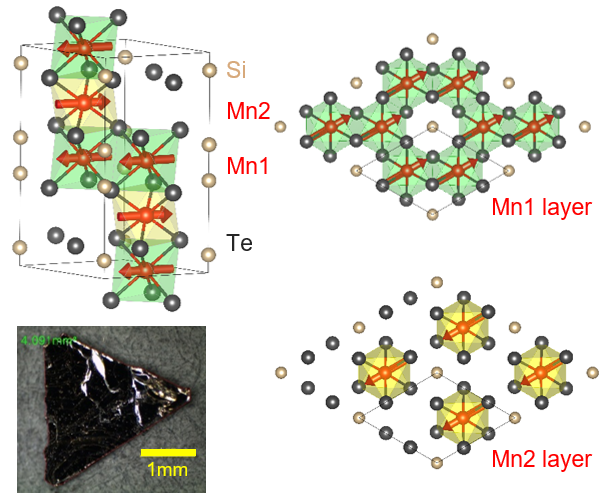 Figure 2. Crystal structure of topological magnet Mn3Si2Te6 (upper left). It has a unique structure where Mn atoms (red) are intercalated between Te atom (grey) layers. Mn atoms in basic and intercalated structures are labeled as Mn1 (upper right) and Mn2 (lower right) layers, respectively. Each layer has a different spin moment and direction, which results in ferrimagnetic ordering. An optical image of Mn3Si2Te6 is shown in the lower left panel.