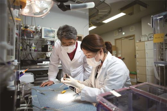 Director KIM Seong Gi and student researcher KANG Hae Yeon are preparing to image a mouse brain. In order to see the brain's response, it is necessary to create a state in which the brain is immobilized but responds to external stimuli.