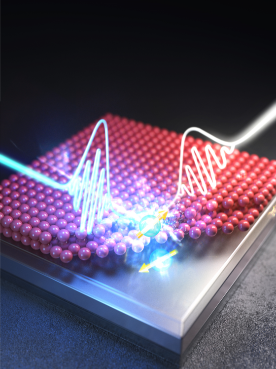 The transition dipole triggered by light in the quantum dot film can be affected by its image created by nanostructures.