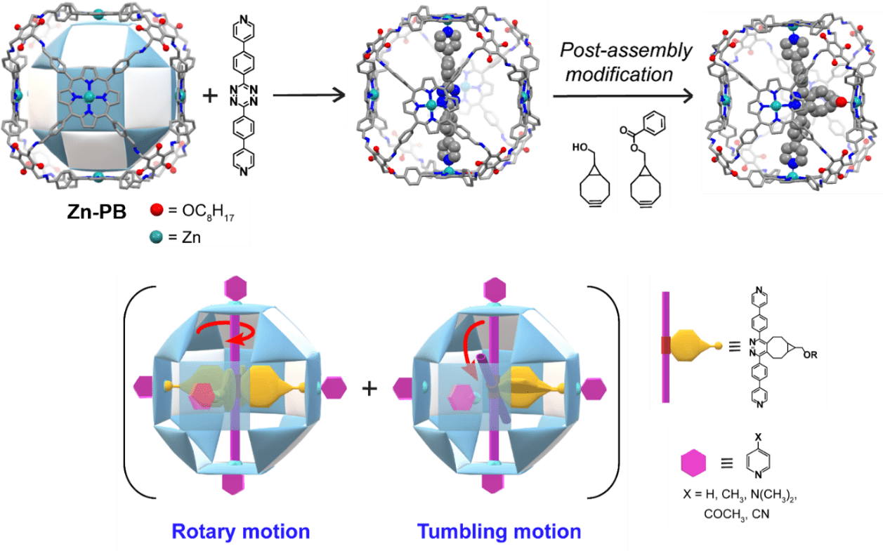 Figure 1. Design, synthesis, and functioning of the rotor within Zn-PB.