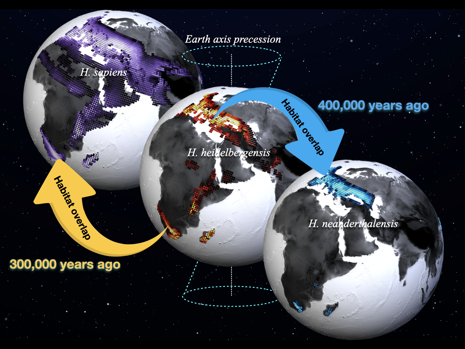 Fig. 1: Preferred habitats of Homo sapiens (purple shading, left), Homo heidelbergensis (red shading, middle), Homo neanderthalensis (blue shading, right) calculated from a new paleoclimate model simulation conducted at the IBS Center for Climate Physics and a compilation of fossil and archeological data. Lighter values indicate higher habitat suitability. The dates (1 ka = 1000 years before present) refer to the estimated ages of the youngest and oldest fossils used in the study.