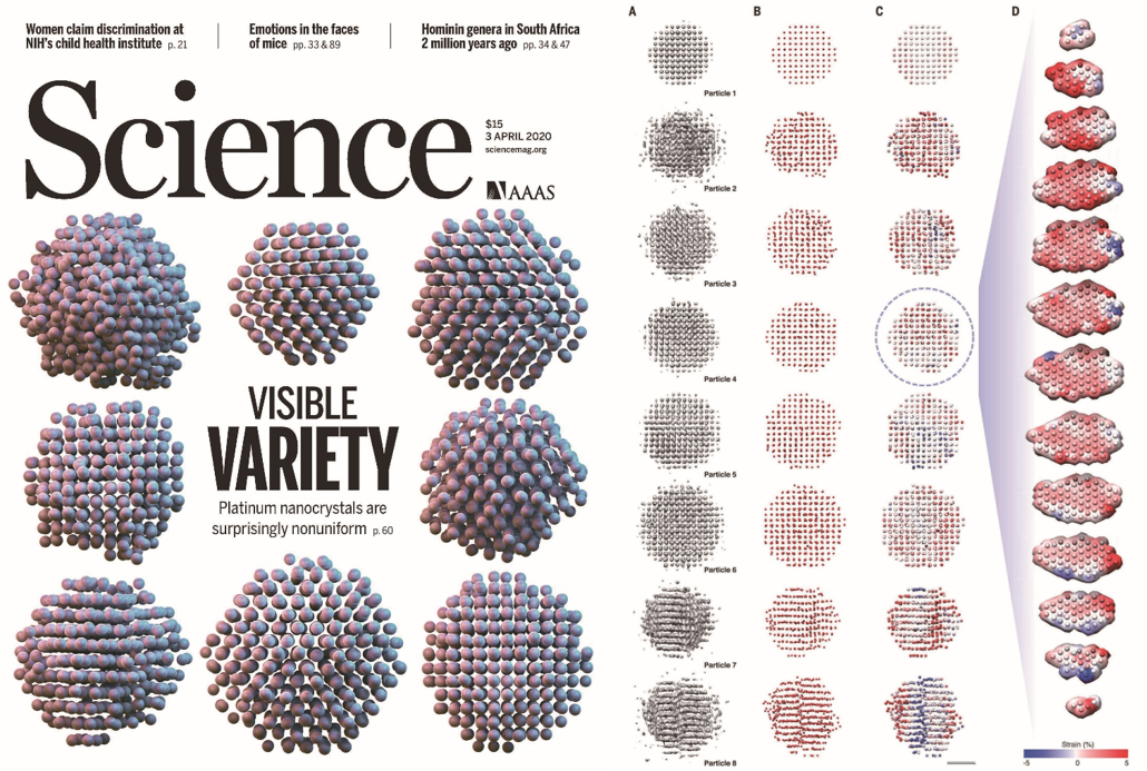 (왼쪽) 2020년 4월 3일에 발행된 ‘사이언스’의 표지. 기사 제목은 ‘눈으로 확인할 수 있게 된 다양성(Visible variety)’이다. (오른쪽) 위부터 아래로 8개의 입자를 관찰했다. A는 원자가 발견될 확률을 표시한 원자밀도 지도이고, B는 따로 추적한 원자 위치 정보를 지도화한 것이다. C는 연구팀이 계산을 통해 얻은 원자 특성 지수를 표시한 입체 지도다. D는 하나의 입자를 대상으로 특성 입체지도를 여러 평면으로 펼쳐 따로 표시했다.