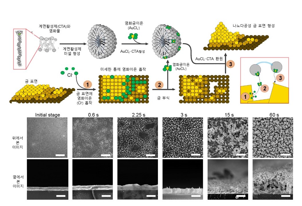 나노구조 및 나노다공성 금 표면을 생성하는 메커니즘.