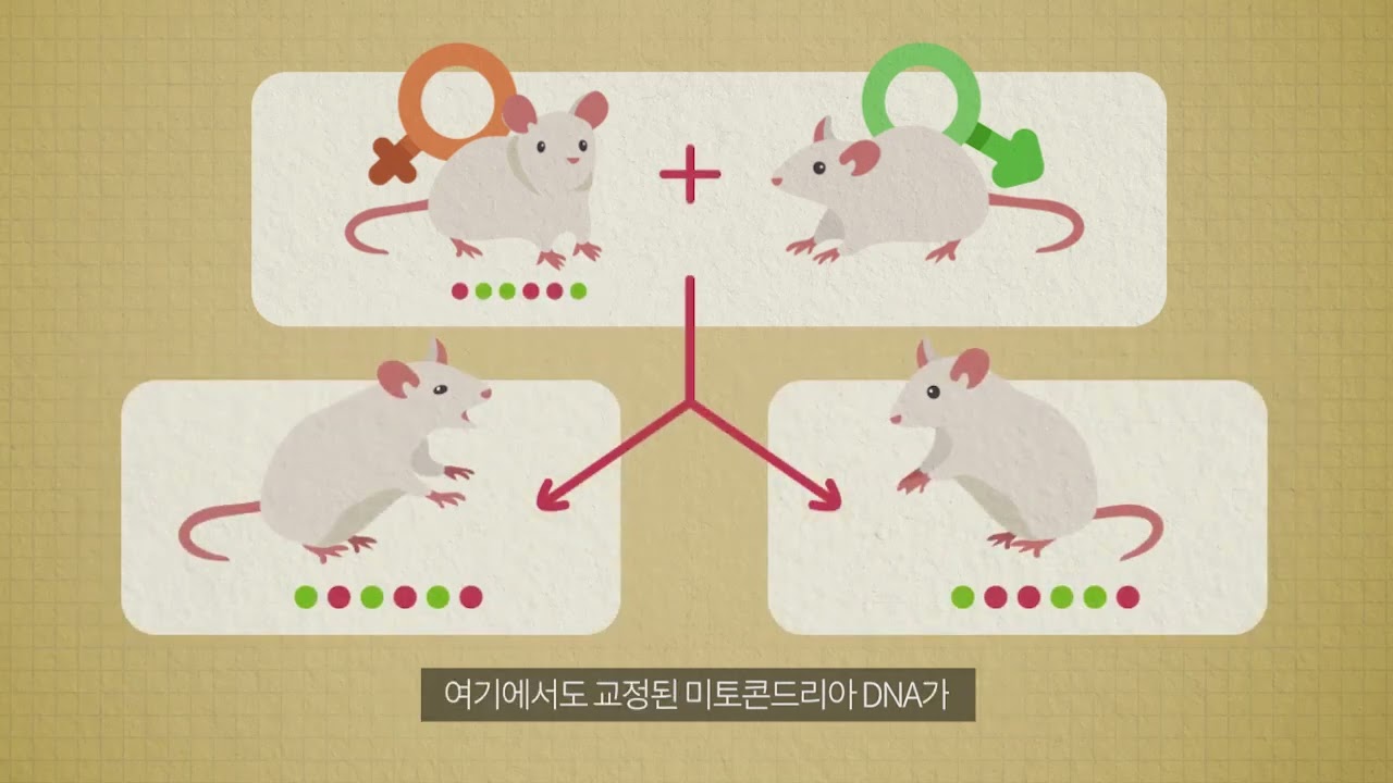 불치병 없는 세상을 위한 큰 걸음 금상 나상은 변예림 영상