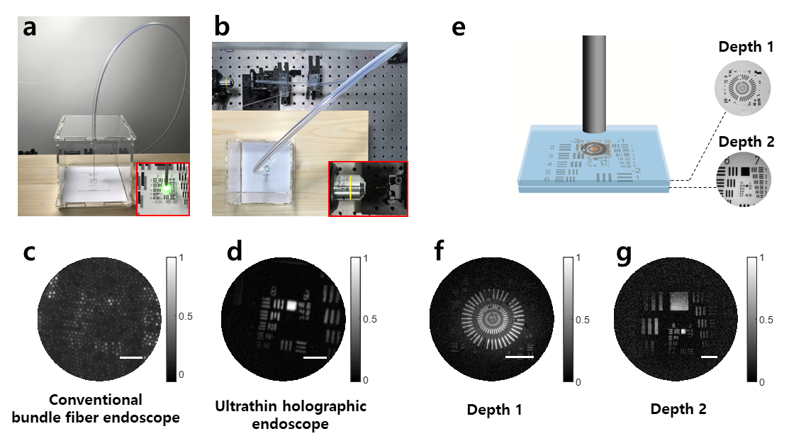 Figure 2. Endomicroscopic imaging through a narrow and curved passage, and 3D imaging capability. (a) and (b) show front and top views of the experimental configuration, respectively. (c) and (d) show the conventional endoscopic image and the reconstructed image with the newly developed endoscope, respectively. Scale bars: 20 μm. (e) shows endoscopic imaging of stacked targets. Two resolution targets were placed at two different depths, 1 and. Ground-truth images of the targets in depths 1 and 2 taken by conventional brightfield microscope were shown next to the schematic. (f) and (g) display endoscopic images for the depths of 1 and 2, respectively, reconstructed using a single reflection matrix recording.