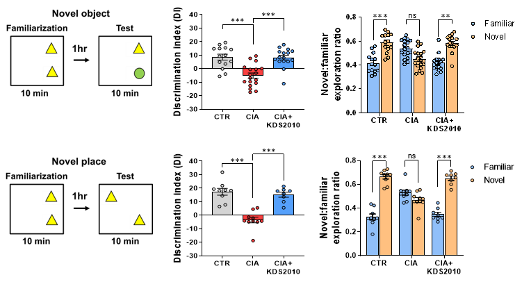 Figure 2. Behavioral experiments were conducted to evaluate the cognitive function of the RA animal model. RA animal model showed MAO-B-dependent cognitive impairment. Administration of KDS2010 restored cognitive function.
            