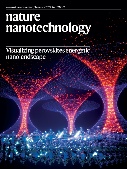 김성웅 연구위원의 연구 내용은 Non-oxidized bare copper nanoparticles with surface excess electrons in air 라는 제목으로 Nature Nanotechnology 2월 호에 게재됐다. ©Nature Nanotechnology
