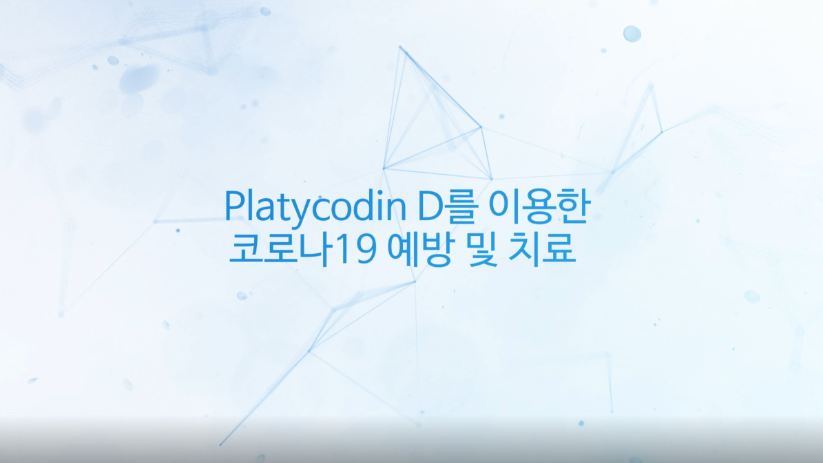 도라지 사포닌 플라티코딘D를 이용한 코로나19 예방 및 치료