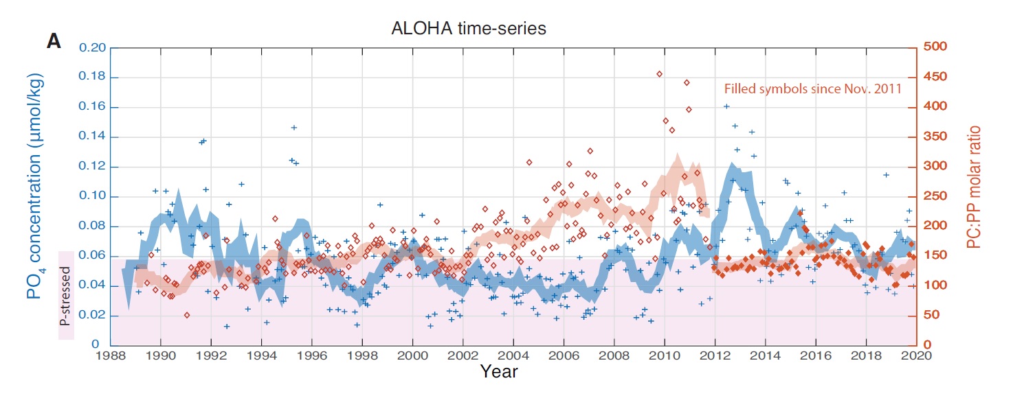 ▲ 하와이 해양 시계열 관측(HOT) 프로그램의 일환으로 지난 30년간 수집된 식물 플랑크톤 자료에 따르면, 표층 영양염이 고갈된 시기에도 식물 플랑크톤 생산성은 일정하게 유지된 것으로 나타난다. 출처: Science Advances