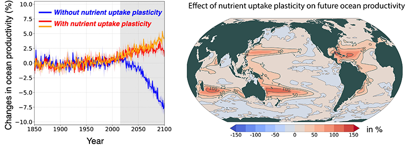 ▲ 바다 식물 플랑크톤의 영양 흡수 조절 능력을 고려하면, 기존 예측(왼쪽 그림 파란색 선)과 달리 해양 순생산량이 증가(빨간 및 주황색 선)하는 것으로 나타났다. 오른쪽 그림은 미래(2080~2100년 평균) 식물 플랑크톤의 영양 흡수 조절 능력을 고려하지 않은 기존 전망과 고려한 전망의 차이를 보여주는 것으로, 색이 붉을수록 차이가 크다는 것을 의미한다. 