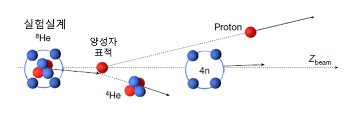 헬륨-8 빔에서 4개의 중성자가 생성되는 과정