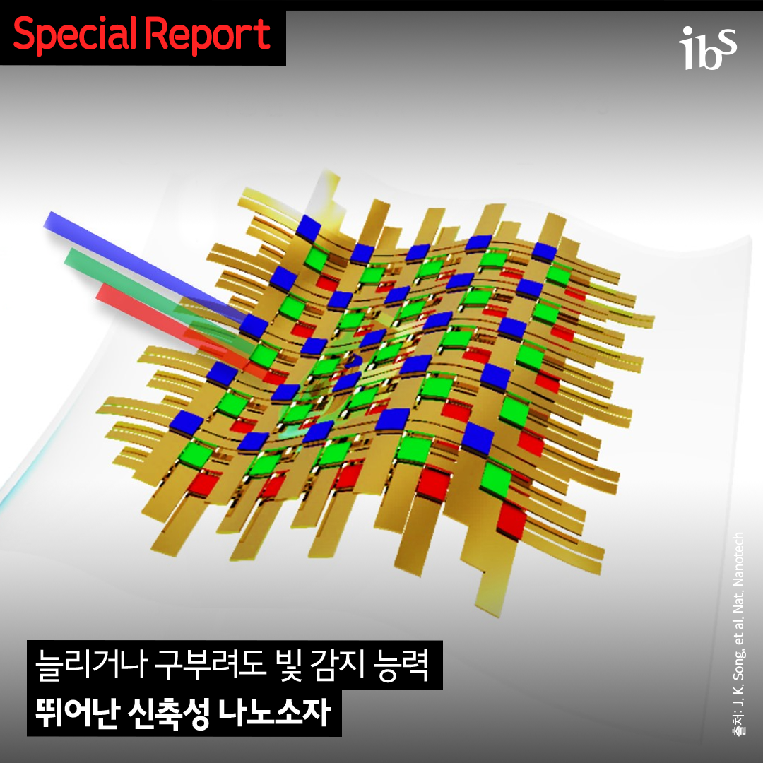 늘리거나 구부려도 및 감지 능력 뛰어난 신축성 나노소자