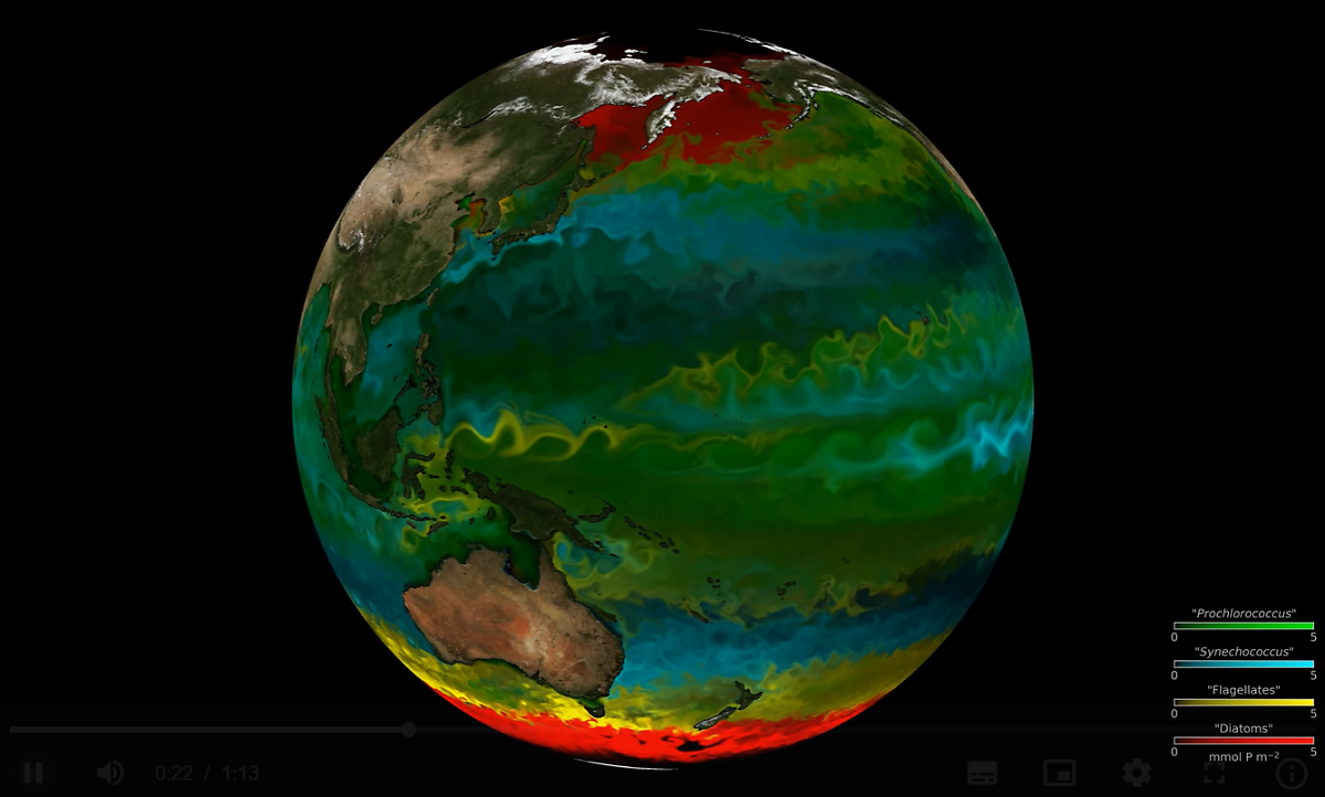 전 지구 해양의 식물 플랑크톤 분포/출처: NASA