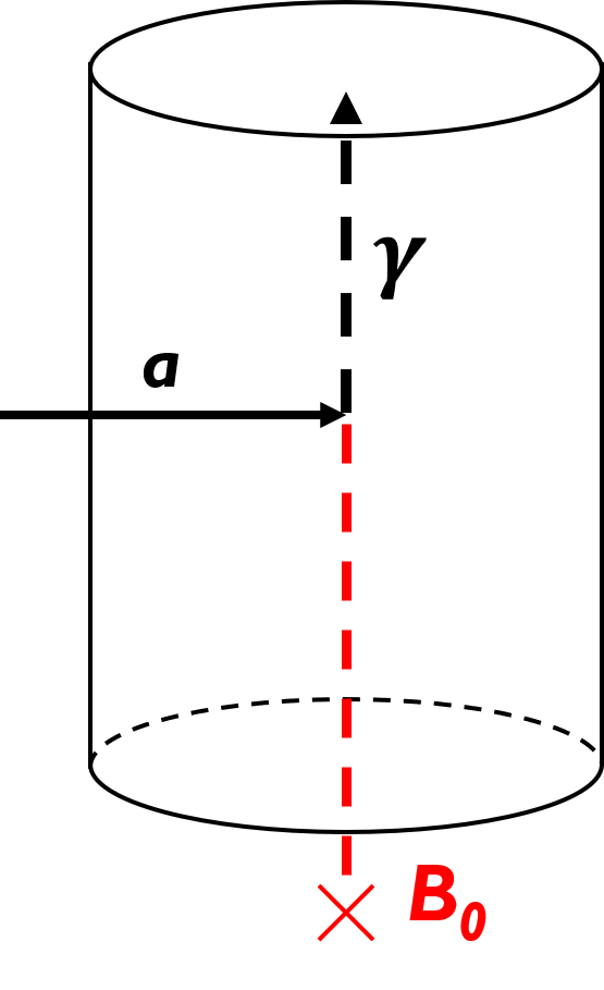 Figure 2. Interaction among halo axions around us (a), magnetic field (B0), and photon (γ). γ is the observable in the experiment and corresponds to the axion signal. The cylinder denotes a microwave resonant cavity.