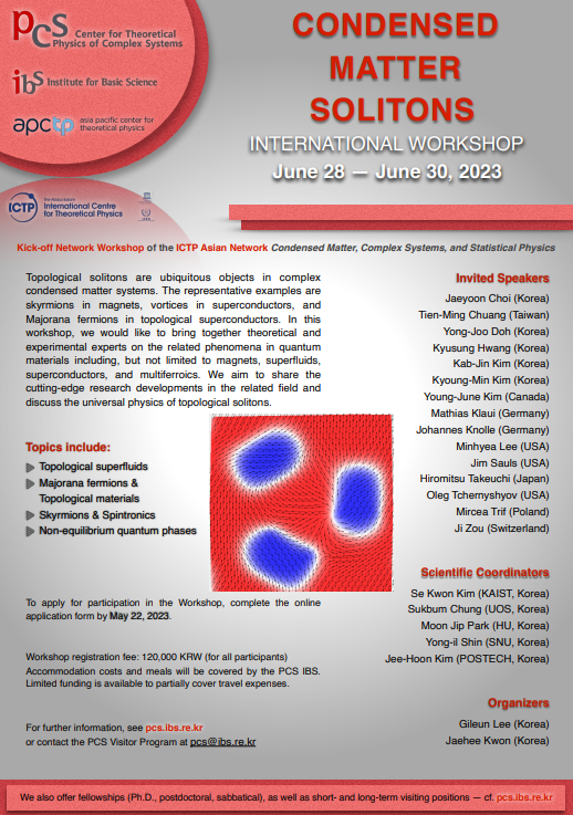 International Workshop Condensed Matter Solitons