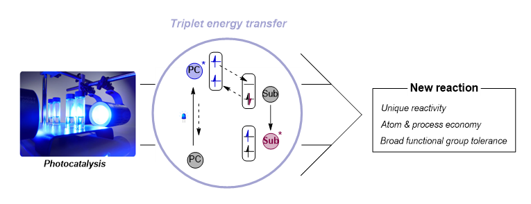 [그림 2] 삼중항 에너지 전달 메커니즘