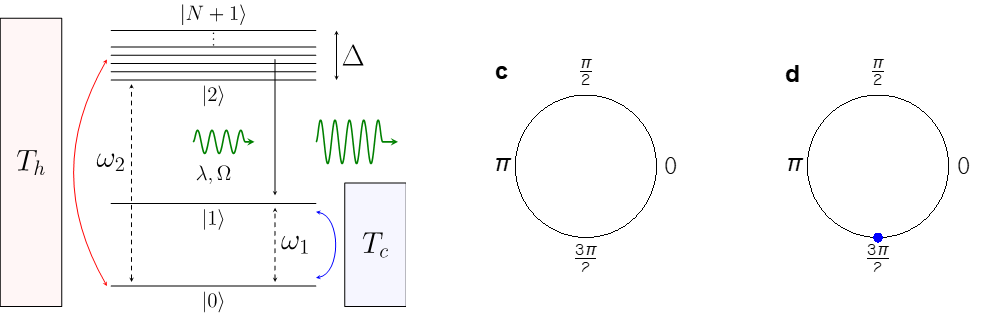 Figure 1. (a) Schematic diagram of the quantum thermal machine considered. The red and blue rectangles represent hot and cold baths, the horizontal lines represent the quantum energy levels of the working medium, and the green wavy lines represent laser light. Contrasting synchronization behavior of the system when it acts as an engine (b) and refrigerator (c). In the “chaotic” engine regime the phases are distributed uniformly between [0,2π] whereas in the “calm” refrigerator regime the phases are all localized at 3π/2.